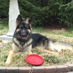 Meet your Posher, Gina